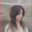 더뷰티리움