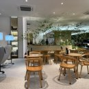 세라젬웰카페 성남판교점 이미지