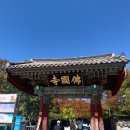 경주 보문뜰, 닭만공격, 훌림목 수플레, 가을 단풍 -2,3일차 마무리