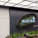 애월포레스트엠 | 제주도 부먹편 1탄(feat.끔찍했던 첫게하)