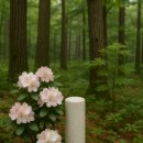 백마로502번길 이미지