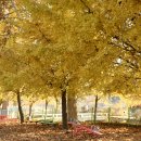 송라초등학교 이미지