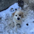 설구산방 이미지