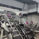 헬스 바디 라인업 | 교대역 헬스장 추천! 24시간 연중무휴 '올데이핏24 헬스&amp;PT' 신년 운동 후기