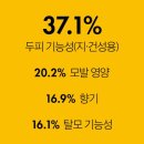 레알트렌드