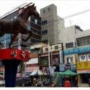 영천의 아침 시장 솔잎식당 추어탕- 1박2일 도시여행 이미지