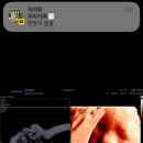 보경농장 | 알밤이랑 8월(27w~)