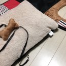 개편한집 이미지