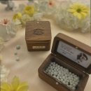 전남반려동물장례식장푸른솔 이미지