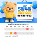 솔향태권도 네이버블로그