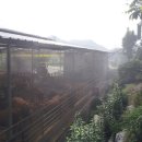 람세스한우농장 이미지