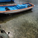 물만난 물고기 이미지