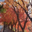 탑골로2길 이미지