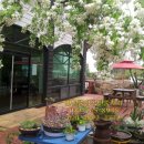 계곡휴양림 민박 이미지