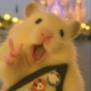 (주)정산 | [아르바이트] 이트너스 연말정산 후기_2.