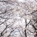 미스터카모터스 이미지