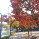 영성재사거리농심앞사거리 | 안성관광- 걷고싶은거리