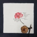 마음 품은 캘리그라피 이미지