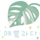 서면탑공인중개사사무소 네이버블로그