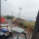 카멜리아캐슬 이미지