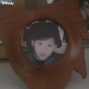 반디 동물병원 | ˖⁺‧₊˚2025년 6월 다섯, 여섯째 주 일상♡˚₊‧⁺˖