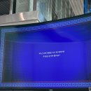 띠네미디어 | 저, 전시장에 실 풀고 왔습니다🧵 오뉴띠네 합법적으로 전시장 어지럽히다,《굴러가는 수장고》 참여 후기