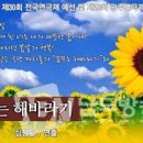 까치놀