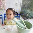 꽃가꾸는대통령마을 Daum카페