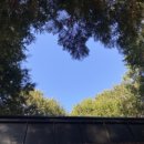 건지산숲속작은도서관 이미지