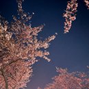 라구스힐 풀빌라펜션 이미지