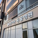 대구 동구/율하/안심 동물병원 봄이온 동물병원 후기 (내돈내산)