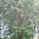 구만초등학교 이미지