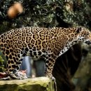 예현농장 이미지