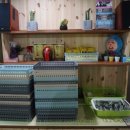 등비룡탕화쿵푸 이미지