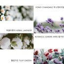 허니더마스킨