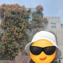 대봉1동 행정복지센터 이미지