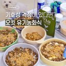 pet30거2045 | 예민한 아이도 잘 먹는 유기농 강아지 화식, 오킷 솔직 후기