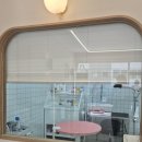 살롱드멍멍 이미지