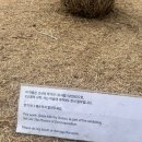 이놈마켓 | 북촌 오늘의집 플리마켓! 가려고 한건 아닌데 간 후기 ㅎ