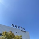 파레사애견풀빌라 네이버블로그