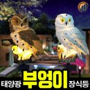 태광장식 이미지