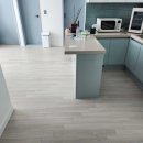 블루시티트리가 이미지