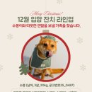 아래숯골공영주차장 이미지