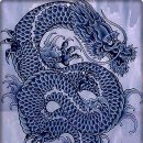 청룡 Daum카페