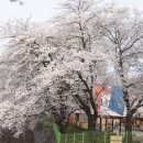 강원도청반비어린이집 이미지