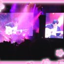 (공연) <최백호 콘서트> 이미지