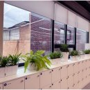 옥천헬스 이미지