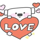 비바헤어 이미지