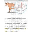 김해양곱창 이미지