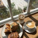 온천천카페거리(설빙 옆) | 부산 동래구 안락동 유럽 감성 신상 카페 몽벨쉘터 온천천 카페거리점 벚꽃뷰 카페 추천